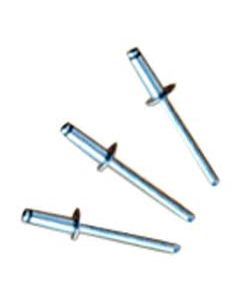 Stainless Steel Rivets